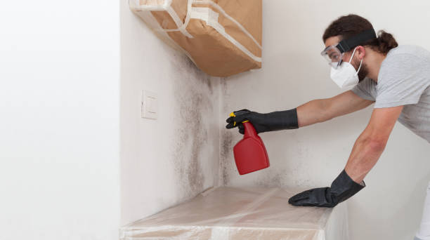 Professional Mold Testing technician working in Saint Joseph, MI